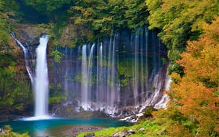 Картинка осень, лес, водопад, Водопад Шираито, Shiraito Falls, Japan, скала, деревья, Япония