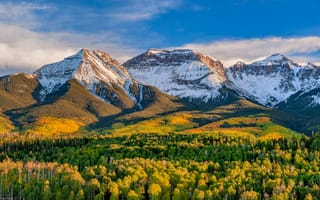 Картинка осень, лес, Colorado, горы, San Juan Mountains, Горы Сан-Хуан, Колорадо