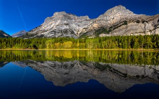 Картинка осень, лес, озеро, Альберта, горы, Канада, отражение, Alberta