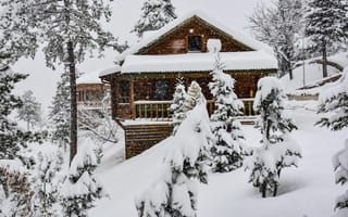 Картинка Природа, Снег, Зимний Лес, Снежные Деревья, Snow, Winter Forest, House, Дом, Nature, Snow Trees