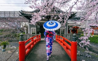 Картинка мост, вишня, sakura, bridge, японка, Japan, сакура, цветение, кимоно, Япония, весна, cherry, зонт, umbrella, blossom, woman