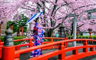 Картинка мост, вишня, blossom, кимоно, цветение, весна, японка, зонт, сакура, umbrella, cherry, woman, bridge, Япония, Japan