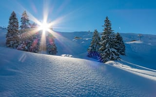 Картинка зима, солнце, лучи, природа, горы, пейзаж, снег, деревья