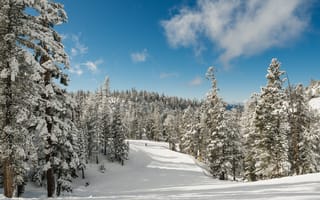 Картинка snow, forest, горы, снег, елки, деревья, зима, lake