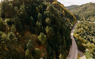 Картинка деревья, горы, cars, forests, mountains, шоссе, леса, trees