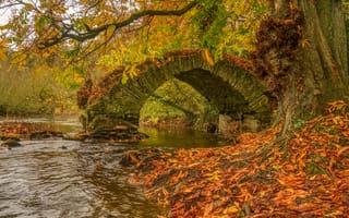 Картинка осень, деревья, Ирландия, River Boyne, Река Бойн, река, мост, Babes Bridge, Ireland, опавшие листья