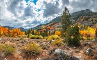 Картинка forest, trees, autumn, rocks, mountains