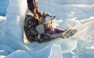 Картинка зима, девушка, хаски, торосы, льды, собака, закрытые глаза, друзья, Елена Шумилова
