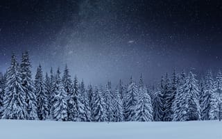 Картинка зима, снег, winter, елки, fir trees, snow, пейзаж, деревья, landscape