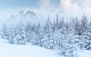 Картинка зима, снег, деревья, горы, landscape, winter, пейзаж, елки