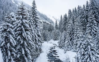 Картинка зима, снег, winter, landscape, пейзаж, деревья, елки, snow, fir trees, river