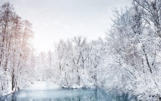 Картинка лед, зима, деревья, snow, снег, trees, snowy, landscape, nature, winter, пейзаж, озеро, lake
