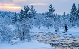 Картинка зима, снег, пейзаж, река, деревья, елки, river, forest