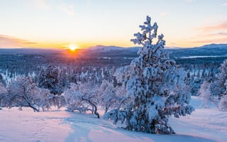 Картинка зима, снег, winter, пейзаж, горы, snow, деревья, fir trees, forest, елки, mountains, landscape