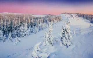 Обои зима, снег, winter, landscape, mountains, forest, пейзаж, snow, елки, горы, деревья, fir trees