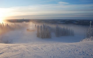 Картинка Зима, лес, туман, лыжня