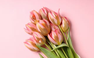 Картинка цветы, букет, pink, tulips, flowers, розовые, beautiful, spring, with love, тюльпаны, bouquet
