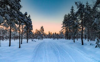 Картинка зима, дорога, снег, деревья, закат, Норвегия, лес