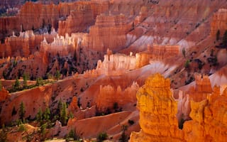 Картинка Брайс-Каньон, оранжевый, пустыня, скалы