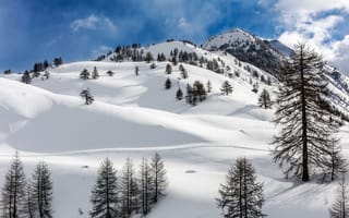Картинка зима, снег, елки, деревья, горы, forest, деревня, пейзаж