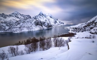 Картинка зима, снег, пейзаж, горы, деревья, forest, река, river