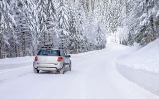 Картинка зима, дорога, елки, деревья, forest, car, пейзаж, снег