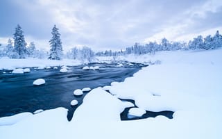 Картинка зима, снег, река, деревья, trees, river, пейзаж, forest