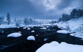Картинка зима, снег, река, forest, пейзаж, деревья, river, trees