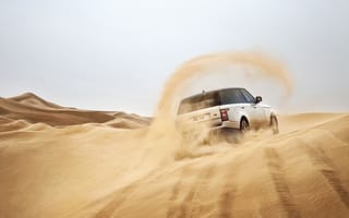 Картинка Ленд Ровер, песок, Range Rover, вид сзади, Land Rover, Ренж Ровер