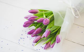 Картинка цветы, букет, весна, тюльпаны, светлый, сиреневые, розовые, звездочки