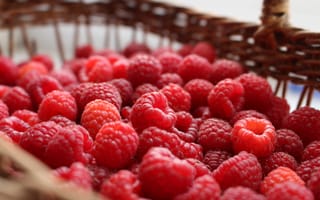 Картинка ягоды, малина, корзинка, много, боке, размытый