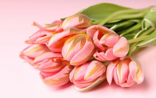 Картинка цветы, букет, pink, flowers, тюльпаны, spring, bouquet, tulips