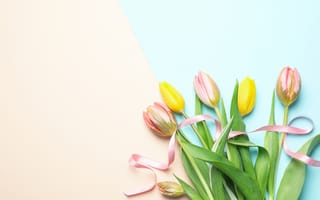 Картинка цветы, букет, flowers, тюльпаны, spring, tulips, yellow, pink