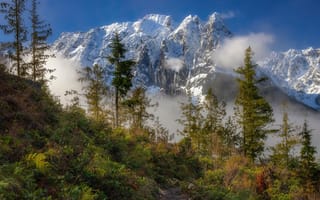 Картинка лес, небо, солнце, деревья, горы, трава, облака, снег