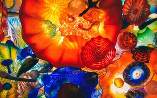Картинка яркие краски, цветы, flowers, abstraction, растения, соцветия, абстракция, грибы