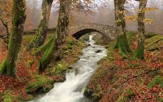 Картинка осень, деревья, Наварра, Spain, каменный мост, Испания, речка, река