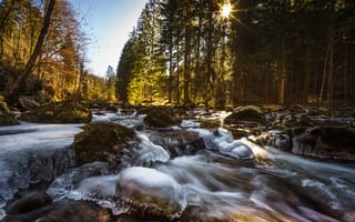 Картинка лес, река, Национальный парк Шумава, Река Выдра, Šumava National Park, Czech Republic, лёд, камни
