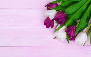 Картинка цветы, букет, flowers, тюльпаны, purple, tulips, white, wood