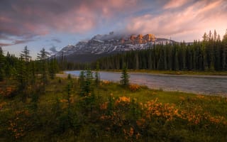 Картинка лес, горы, Канада, река, Banff National Park, Альберта, Alberta, ели