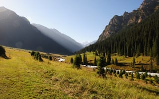 Картинка горы, лес, Karakol, река, природа, Киргизия, Altyn Arashan