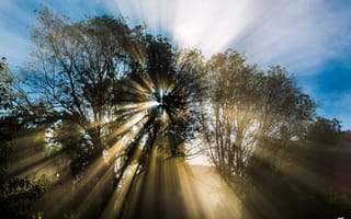 Картинка Апрель, солнце, природа, весна, дерево, By © Graziano Rinna, лучи