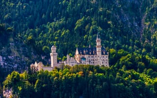 Картинка Горы, Деревья, Германия, Bavaria, Замок, Бавария, Нойшванштайн, Germany