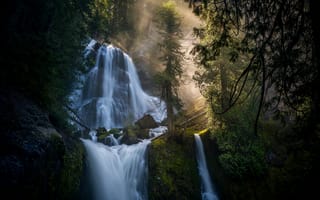 Картинка лес, водопады, Gifford Pinchot National Forest, Columbia River Gorge, Ущелье реки Колумбия, Washington State, каскад, Falls Creek Falls