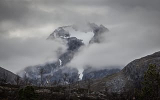 Картинка небо, деревья, туман, скала, природа, Норвегия, гора, Norway
