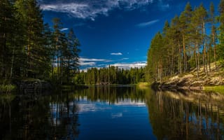 Картинка лес, деревья, отражение, Финляндия, озеро