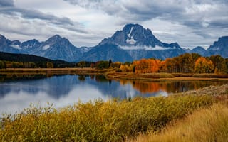 Картинка осень, лес, Wyoming, река, Вайоминг, горы, кусты, отражение