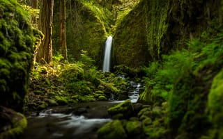 Картинка водопад, Oregon, Ruckel Creek Falls, речка, лес