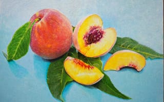 Картинка листья, рисунок, персики, картина, фрукты, косточки, живопись, голубой