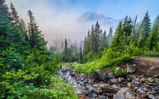 Картинка горы, ручей, США, Mount Rainier National Park, камни