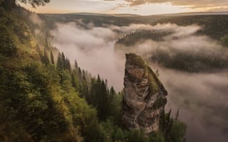 Картинка forest, nature, fog, mountains